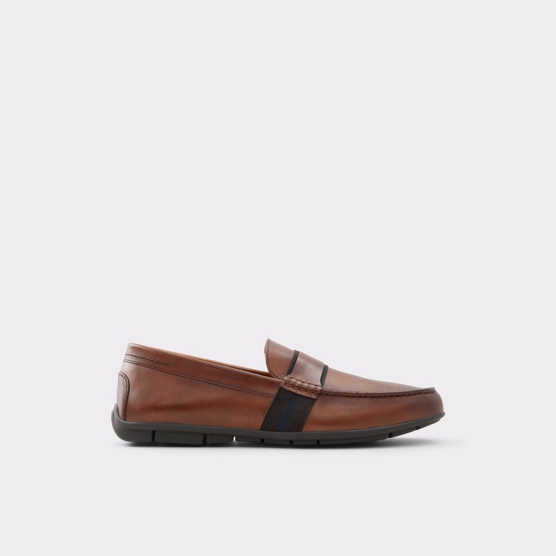 Loafers Aldo Damianflex-w Homme Marron | NQCDVL-617